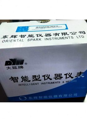 东辉大延仪表DY21B06P DY21B20P DY21E2222 DY21B02