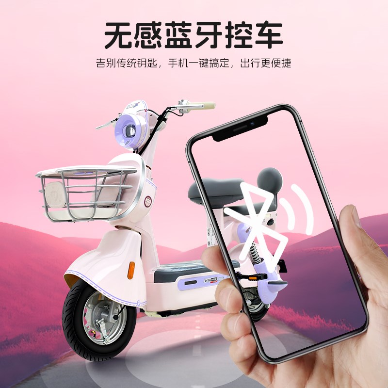 台铃彩妆电动车智能电动自行车女生小型亲子轻便代步车门店自提