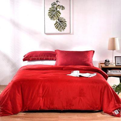 蚕丝被100桑蚕丝冬被春秋大红色双人喜被子被芯空调结婚婚庆陪嫁