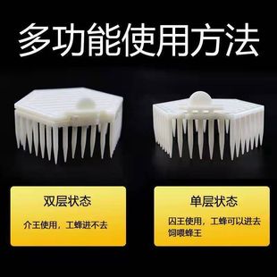 蜜蜂六角针式囚王介王笼锁蜂王笼关王龙塑料中蜂专用养蜂工具设备