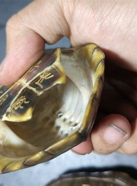 天然乌龟壳真龟甲刻字六爻龟甲占中华草龟壳王八壳完整送铜钱配件