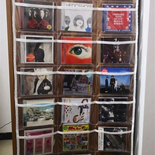 定制16格30格CD盒透明t收纳挂袋儿童识字卡片袋双面可视资料展示