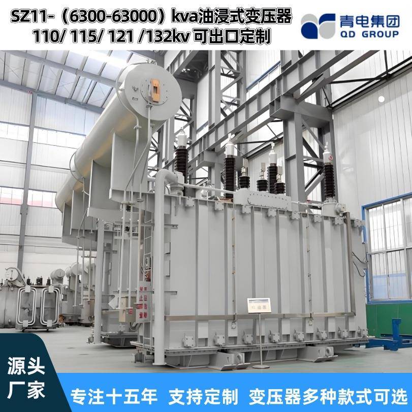 青电变压器厂 SZ20- 6300 25000 63000KVA/110kv油浸式主变压器
