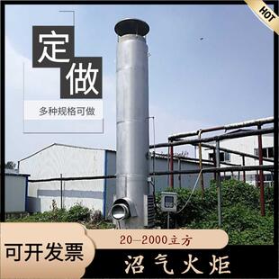 304不锈钢全封闭内燃式沼气火炬 沼气火炬系统 沼气设备