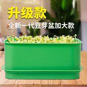 蔬菜罐育苗发芽盆豆芽机家用大容量发豆芽专用盆神器黄绿豆芽罐