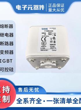 170M6408170M6409直流快速熔断器保险丝高压熔断器熔芯现货