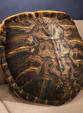 乌龟壳抱枕可穿戴睡觉神器玩偶毛绒玩具衣服人穿搞怪王八龟壳仿真