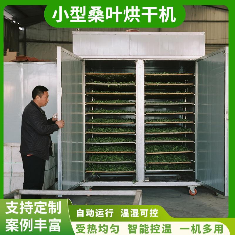 小型桑叶烘干机 智能控温荆桑桑椹树烘干箱 电加热家桑烘干机设备