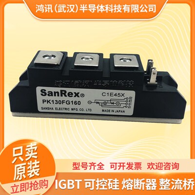 三社可控硅模块PK40F160 PK55FG160 PK110F-160 PK200HB160晶闸管
