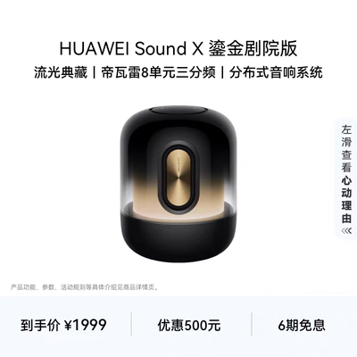 Huawei/华为 SOUND X