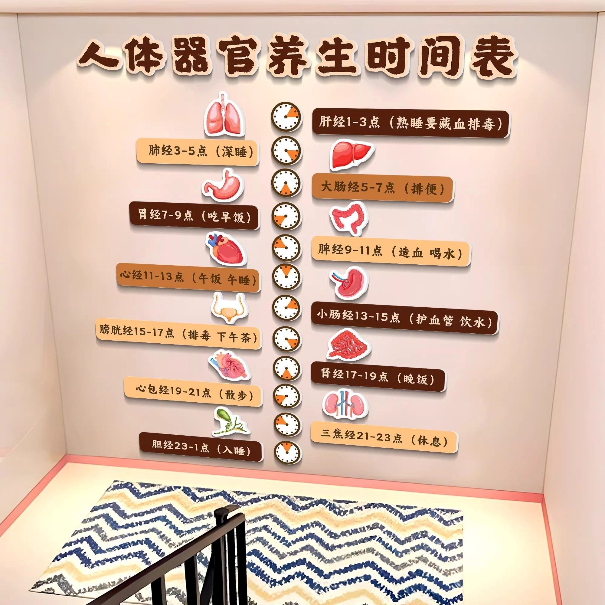 养生馆装饰画中医人体器官养生时间形象图理疗文化背景墙氛围布置