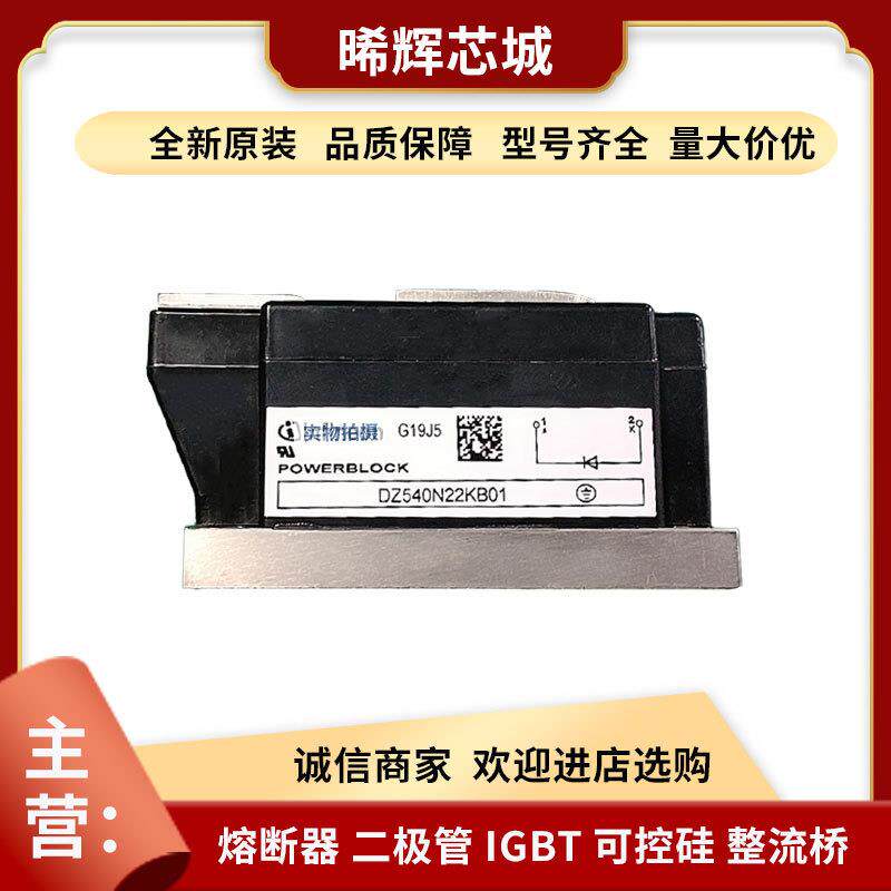 DD60HB160 DD100HB120型号齐全 大功率可控硅双向现货标准封装