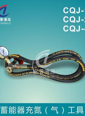 国标NXQ蓄能器CQJ型充氮工具 欧标5/8 7/8 5/16 六合一充气工具