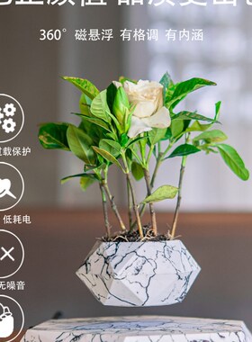 磁悬浮摆件盆栽植物小花盆创意装饰办公室桌面摆件三八妇女节礼物