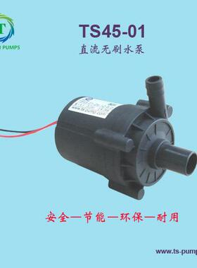 TS4501直流水泵循环泵DC12V/24V