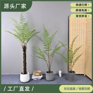 仿真蕨叶树软装造景家居装饰工程现货供应娑罗树人造蕨树