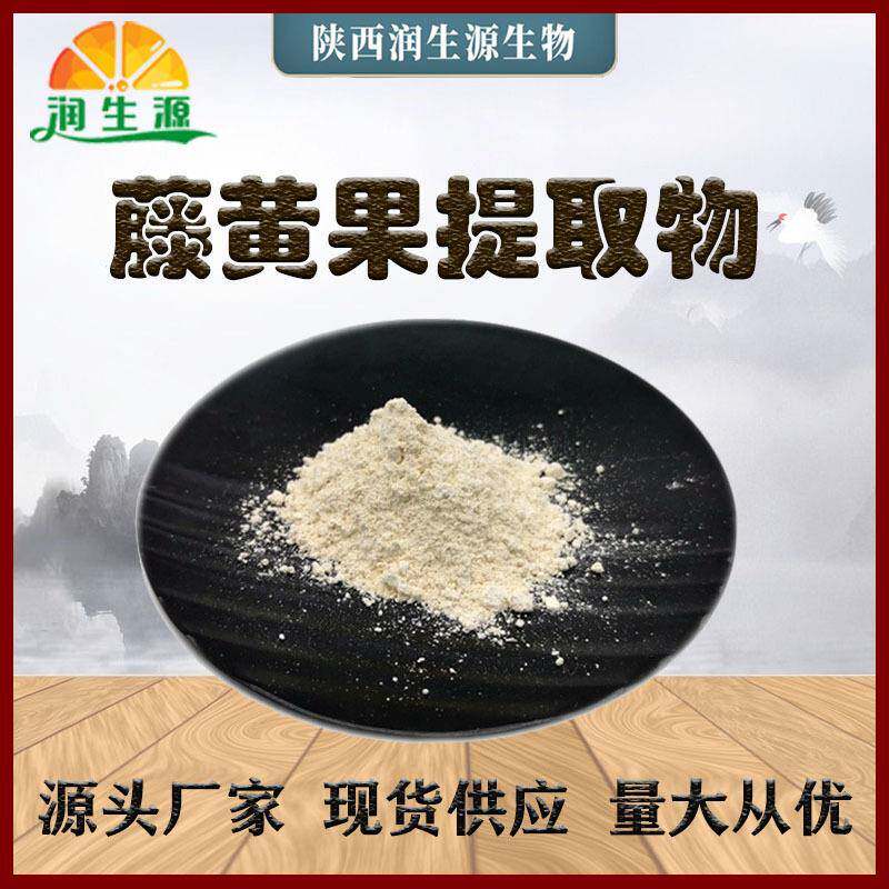 藤黄果提取物HCA羟基柠檬酸60%藤黄果粉量大从优
