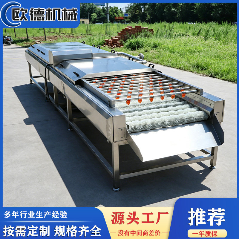 红薯毛辊清洗机 鲜地瓜土豆清洗去泥机 软毛辊不伤皮不锈钢防腐蚀