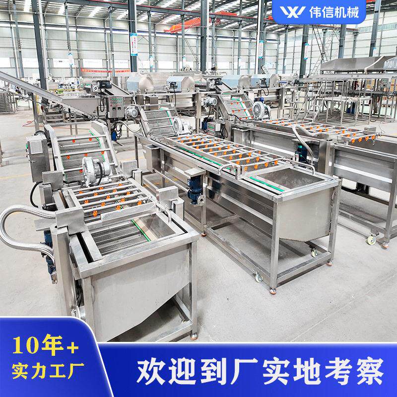 大型果蔬加工设备 气泡式土豆胡萝卜毛辊去皮清洗分选线