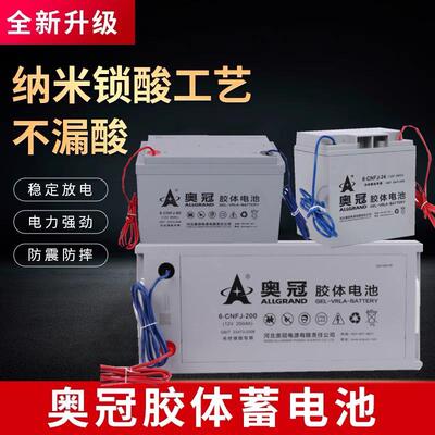 奥冠凝胶蓄电池6-GFMJ-12V24AH38AH40AH65H100AH120AH150AH200AH