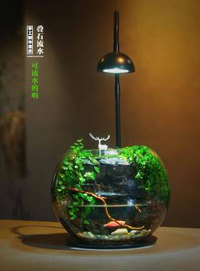 玻璃生态瓶室内桌面迷你水陆苔藓微景观造景绿植盆栽