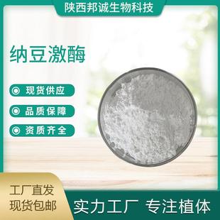 g纳豆提取物纳豆激酶粉 g5000FU 纳豆激酶20000FU g10000FU