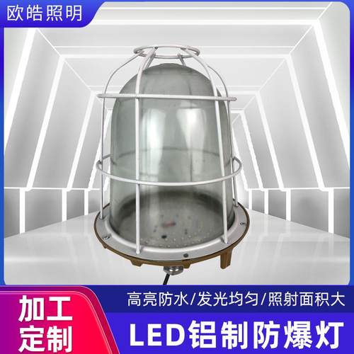 LED铝制灯具100w隔爆型车间照明吊灯工地隧道投光灯防爆灯厂