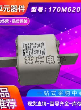 170M6263 170M6264 170M6265 170M6266 170M6267巴斯曼快速熔断器