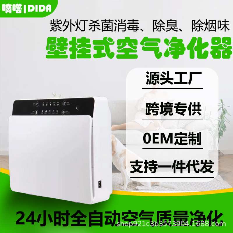 负离子壁挂式空气净化器紫外线家用空气消毒机杀菌智能除甲醛跨境