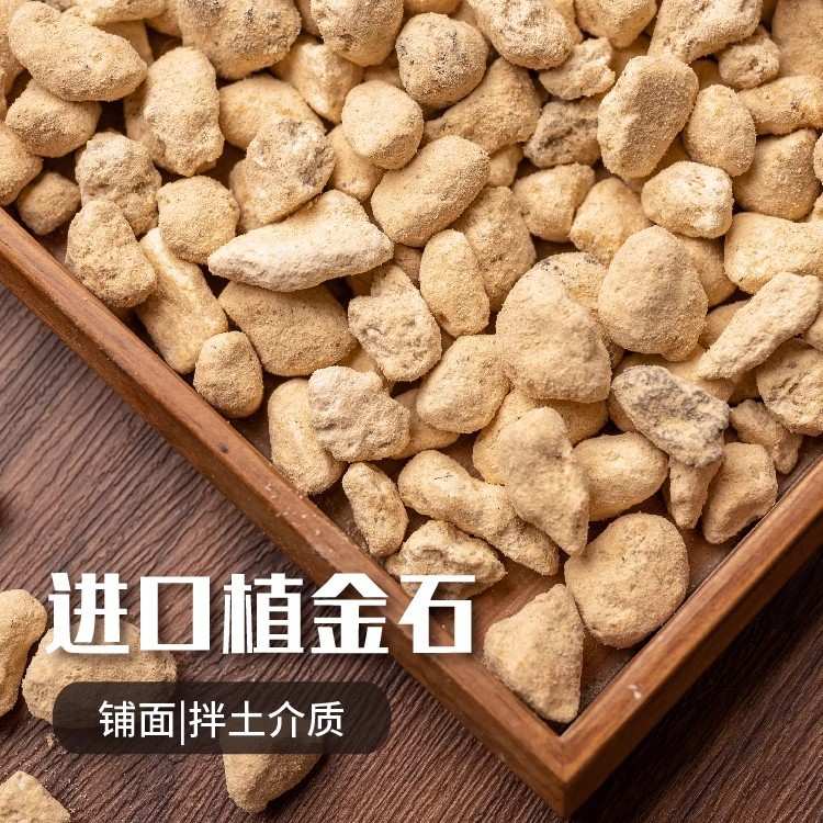 进口植金石兰花专用植料颗粒营养土兰花石多肉蝴蝶兰透铺面石国产