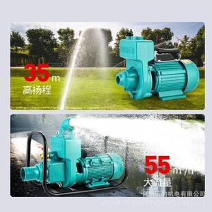 大流量污水自吸泵家用220V离心泵380V2寸3寸灌溉抽水机增压泵井水