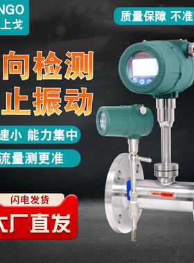 热式气体质量流量计插入式管道式流量气体压缩空气气体流量计