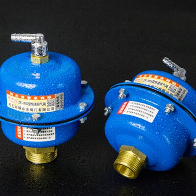 ZP-W 型6分 1寸锅炉煤改电 暖气片中央空调G自动快速排气阀