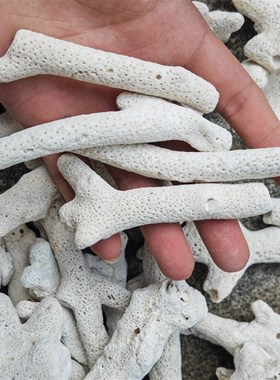 优选大块珊c瑚骨滤材优质天然珊瑚石鱼缸过滤材料水族箱净水造