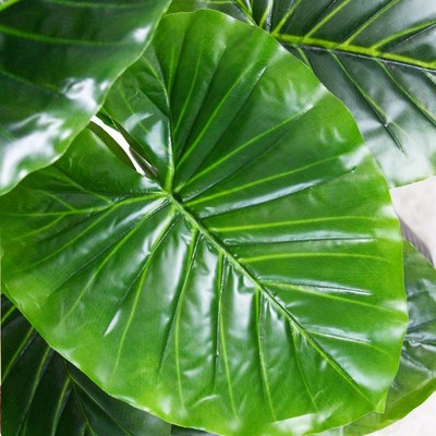 滴水观音假花花艺绿植仿真塑料花仿真花仿真树假绿植装饰仿真室内