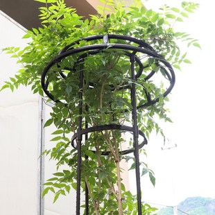伞型植物爬藤架园艺藤本类月季 绿萝爬藤花支架支柱玫瑰盆栽支撑杆