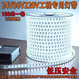 低压灯带36v24v白光暖光LED灯条户外防水隧道养殖场亮化装饰1米剪