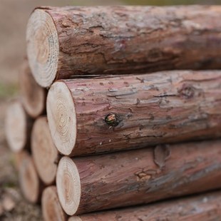 浩林 野外户外露营野炊柴火炉木柴生物质颗粒