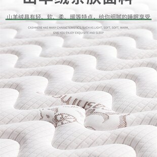 汉尼斯坐卧两用折叠沙发推拉床垫80*200cm费斯多椰棕乳胶垫1.6*2m