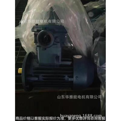YTSP250M-2-55W电机替代锡安达电机YSP电机防爆等级BT4 CT4 CT5
