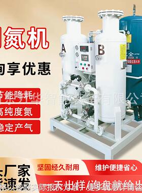 高纯度制氮机氮气机食品PSA双塔式变压吸附氮气设备食品制氮机