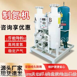 高纯度制氮机氮气机食品PSA双塔式变压吸附氮气设备食品制氮机