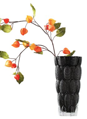 创意绳纹黑色玻璃花瓶摆件客厅样F板房装饰水养鲜花大口径插花