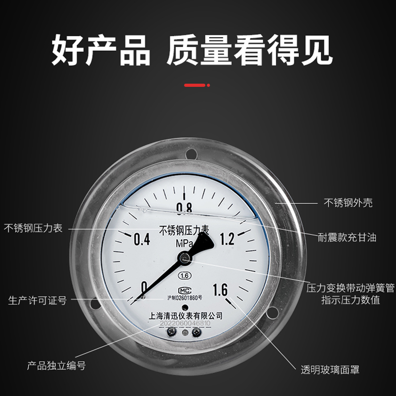 全不锈钢耐震型压力表YN100BFZT整F体304耐温耐腐蚀轴向带边面板