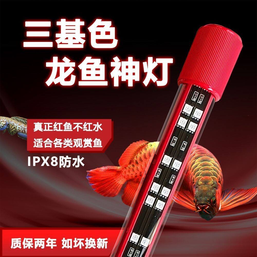 三基色神灯龙鱼专用增艳