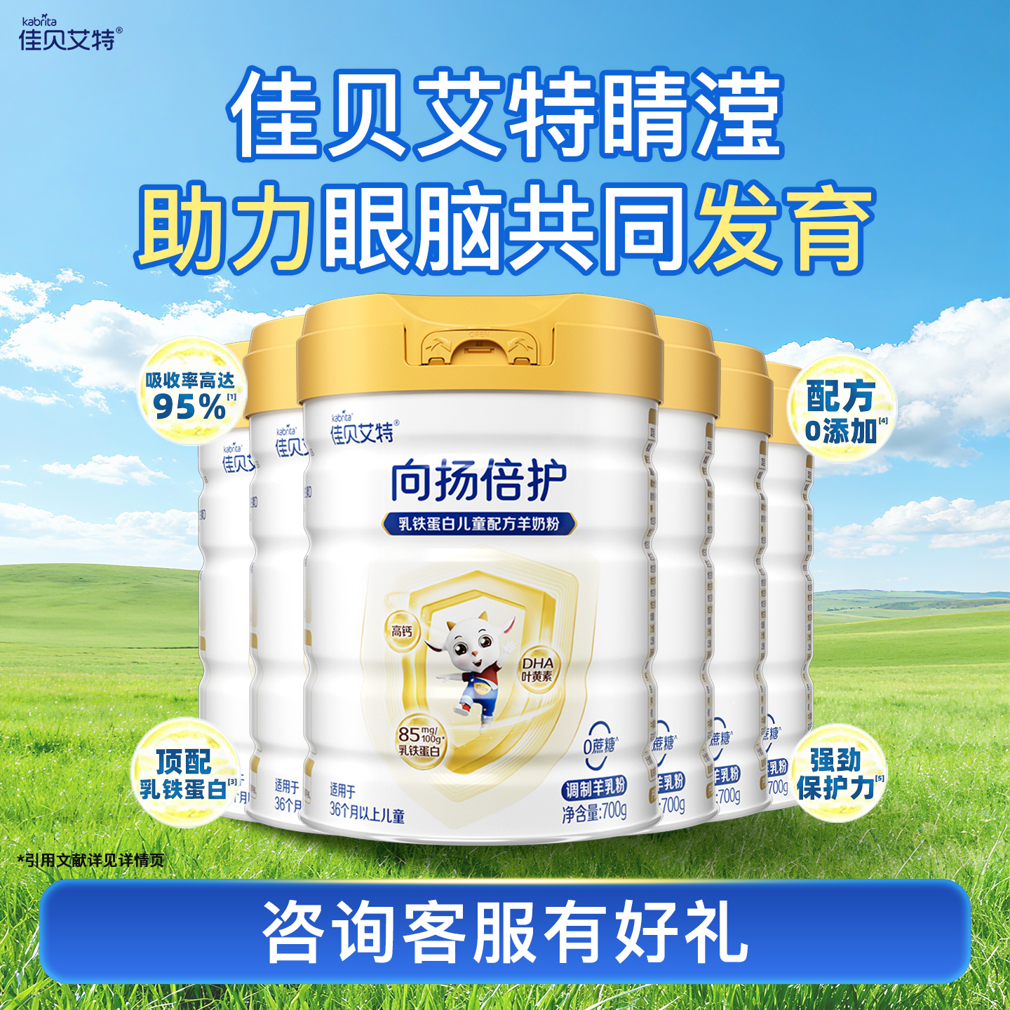 佳贝艾特向扬倍护羊奶粉6罐