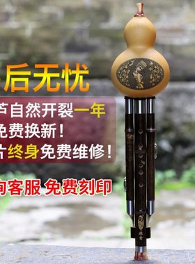 傣韵葫芦丝乐器初学专业演奏小DGFC紫竹降b调葫芦丝c调小学生专用