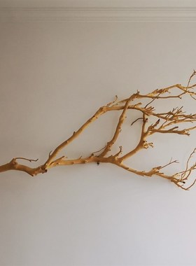 干树枝造景原木干枝酒店橱窗设计枯枝真树枝墙面装饰吊灯树枝装饰