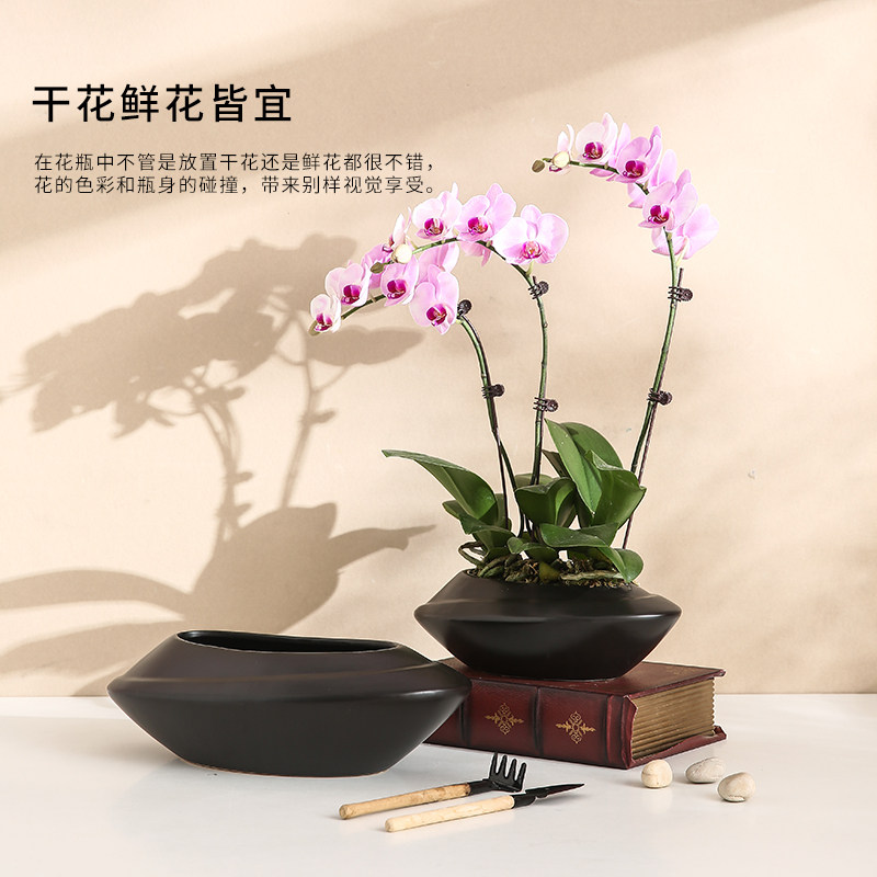 新款创意几何形无孔组合陶瓷花盆蝴蝶兰多肉蕨类绿植花卉可水培盆