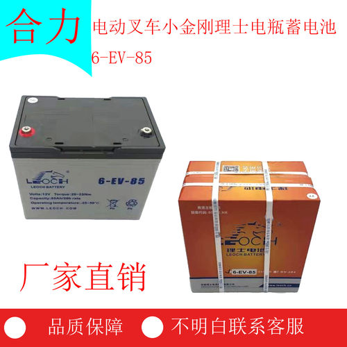电动叉车小金刚理士电瓶蓄电池6-EV-85力达合力CBD15杭叉西林诺力